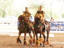 GDFNA Global Dressage Forum North America<br>
Yvonne Barteau &<br>
KYB Dressage Perform<br>
The Lion King Freestyle<br>
Duration: 7 minutes