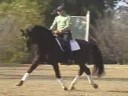 Jan Ebeling<br>
Riding & Lecturing<br>
Louis Ferdinand<br>
Hanoverian<br> 6 yr. old Stallion<br>
Training: 2nd/ 3rd Level<br>
Duration: 42 minutes