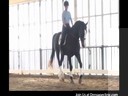 Day 2<br>
Mary Wanless<br>
Assisting<br>
Peri Lambros<br>
Riding Sonny<br>
Dutch  Warmblood<br>
13 yrs.old<br>
Training: 3rd Level<br>
Duration: 28 minutes