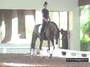 USDF APPROVED<br>University Accreditation<br>USDF Trainers Conference<br>
Day 2<br>
Steffen Peters<br>
Assisting<br>
Lauren Sprieser<br>
Stratocaster<br>
Oldenburg<br>
5 yrs. Old Gelding<br>
by: Sir Donnerhall<br>
Duration: 26 minutes