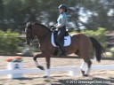 Elizabeth Ball<br>
Riding & Lecturing<br>
Unitario<br>
Lusitano<br>
12 yrs. old Gelding<br>
Training: 1-2/1-1 GP<br>
Owner: Julie Bullen<br>
Duration: 38 minutes