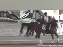 USDF West Coast Trainers Conference<br>
Day 2<br>
Stephen Clarke<br>
Assisting<br>
Claire McNulty<br>
Reel Adventure<br>
14 yrs. Old Gelding<br>
Hanoverian<br>
by:  Rotspon<br>
Owner:  Dr. Kristy Lund<br>
Duration: 29 minutes