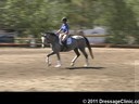 U.S. Trainers & Judges Young Horse Forum<br>Day 1<br>
Dr. Dieter Schule<br>
Assisting<br>
Tamara Smith<br>
Fleeceworks Cinco<br>
Holsteiner<br>
by: Cascani<br>
4 yrs. old<br>
Owner: Judith McSwain<br>
Duration: 25 minutes