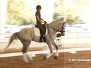 GDFNA Global Dressage Forum North America<br>
Jan Brink<br>
Assisting<br>
Christina Vinios<br>
Riding<br>
10 yrs. old Gelding<br>
Duration:39 minutes