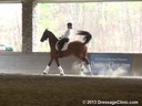 GDCTA Annual Symposium with<br>
Scott Hassler<br>
Assisting<br>
Kim Gentry<br>
Leonardo<br>
Danish Warmblood<br>
by: Landtinus<br>
Owner: Kim Gentry<br>
Duration: 43 minutes
Training: FEI 5 yrs. Olds
Duration: 43 minutes