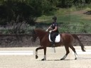 Gary Rockwell<br>
Assisting<br>
Susan Herster<br>
Dario<br>
12 yrs. Old Gelding<br>
Training:  3rd  Level Schooling 4th Level<br>
Owner:  Susan Herster<br>
Duration: 48 minutes