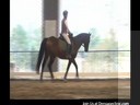 Day 2<br>
Mary Wanless<br>
Assisting<br>
Judy Greene<br>
Riding Celius<br>
Holsteiner<br>
9 yrs. old<br>
Training: 1st Level<br>
Duration: 24 minutes