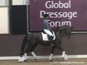 Global Dressage Forum<br>Netherlands Academy Bartels<br>Day1<br>
Nathalie Zu Sayn Wittgenstein<br>
About Training & Breeding<br>
Duration: 60 minutes