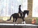 GDCTA Annual Symposium with<br>
Scott Hassler<br>
Assisting<br>
Ashley Marascalco<br>
Rebellienne HVH<br>
Hanoverian Mare<br>
by: Rotspon-EM Whitney/Welser<br>
Duration: 28 minutes