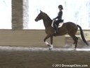 GDCTA Annual Symposium with<br>
Scott Hassler<br>
Assisting<br>
Jessica Barnes<br>
Ezabella HF<br>
by:  Rousseau<br>
Dutch Warmblood Mare<br>
Owner: Julie Ballard Haralson<br>
Duration: 33 minutes