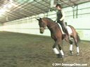 U.S.Trainers & Judges Young Horse Forum<br>Part 3<br>
Michael Poulin &<br>
Christoph Hess<br>
Discusion & Practical<br>
Demonstration on Suppleness,<br>
Contact, Movement Based<br>
On Conformation<br>
Duration: 36 minutes