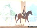 Day 2<br>
Mary Wanless<br>
Assisting<br>
Cheryl Joyner<br>
Riding Xan<br>
Arabian<br>
10 yrs. old Intro<br>
Duration: 23 minutes