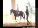 Day 1<br>
Mary Wanless<br>
Assisting<br>
Peri Lambros<br>
Riding Sonny<br>
Dutch Warmblood<br>
13 yrs. old<br>
Training: 3rd Level<br>
Duration: 26 minutes