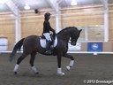 NEDA Fall Symposium<br>Day 2<br>
Ashley Holzer<br>
Stephen Clarke<br>
Assisting<br>
Martyna Morris<br>
Tycho<br>
12 yrs. Old KWPN  Gelding<br>
Duration: 37 minutes