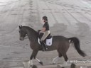 USDF West Coast Trainers Conference<br>
Day 1<br>
Stephen Clarke<br>
Assisting<br>
Jennifer Baumert<br>
Ramiro<br>
8 yrs. Old Gelding<br>
Danish Warmblood<br>
by: Don Romantic<br>
Training: PSG
Owner: Jennifer&Lisa Butterfield<br>
Duration: