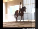 Day 3<br>
Mary Wanless<br>
Assisting<br>
Lisa Wagner<br>
Riding Jesse James<br>
Fresian/TB<br>
3 yrs. old Intro<br>
Duration: 30 minutes