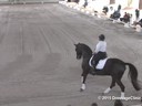 USDF West Coast Trainers Conference<br>
Day 2<br>
Stephen Clarke<br>
Assisting<br>
Shelly Francis<br>
Danilo<br>
10 yrs. Old Gelding<br>
Hanoverian<br>
by: DeNiro<br>
Owner: Patricia Stempel<br>
Duration: 26 minutes