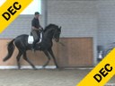 Markus Gribbe<br>
Riding & Lecturing<br>
Dr. Doolittle<br>
Hanoverian<br>
by: Donnerhall<br>
12 yrs. old Stallion<br>
Training: GP<br>
Owner: Klatte Stallions<br>
Duration: 20 minutes