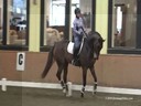 Johann Hinnemann<br>
Assisting<br>
Wendy Christoff<br>
Flash<br>
Training: PSG<br>
Duration: 40 minutes