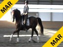 Day 3<br>
Markus Gribbe<br>
Assisting<br>
Rochelle Kilberg<br>
Rudy<br>
Hanoverian Rotsporn<br>
9 yrs. old Gelding<br>
Training: 1-2/GP Level<br>
Owner: Rochelle Kilberg<br>
Duration: 36 minutes