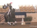 CDS Annual Symposium<br>
Lilo Fore & Judy Harvey<br>
Assisting<br>
Charlotte Bredahl<br>
Chanel<br>
Danish Warmblood<br>
9 yrs. Old Mare<br>
& Sarah Lockman<br>
Vico<br>
by: Lusitano<br>
12 yrs. Old
Training: PSG<br>
Duration: 35 minut