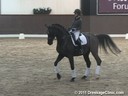 Global Dressage Forum<br>Netherlands Academy Bartels<br>Day 2<br>
Kyra Kyrkland<br>
