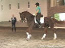 The Georgia Dressage & Combined Training Association<br>Day 1<br>
Guenter Seidel<br>
Assisting<br>
Phyllis Sumner<br>
Don Zamora<br>
Dutch Warmblood<br>
8 yrs. old KWPN<br>
Training: 4th Level PSG<br>
Duration:49 minutes