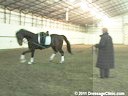 U.S. Trainers & Judges Young Horse Forum<br>A Lunging & Training<br>
Lecture by<br>
Michael Poulin<br>
Duration: 19 minutes