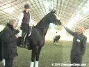 U.S.Trainers & Judges Young Horse Forum<br>Part 1<br>
Discussion & Practical<br>
Demonstration of Gaits<br>
by Micheal Poulin &<br> 
Christoph Hess<br>
Subjects:<br>
Basic Paces<br>
Ability of Movement<br>
Rhythm & Tempo<br>
Train