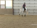 IDCTA Illinios Dressage & Combined Training Association<br>
Lilo Fore<br>
Assisting<br>
Amanda Johnson<br>
Dullineya<br>
Mare<br>
Duration: 31 minutes