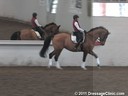 Day 2
Jan Brink
Riding & Lecturing
    &
Assisting
Kecia Lilly
Laudatil
Rhinlander
by: Laudabalus
6 yrs, old Gelding
Training: 2nd/3rd Level
Owner: Kecia Lilly
Duration: 43 minutes