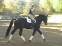 Mette Rosencrantz<br>Riding & Lecturing<br>Rockefeller<br>Swidish Warmblood<br>4 yrs. old Gelding<br>Training: Training Level 4<br>Duration: 32 minutes