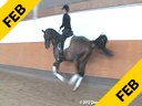 Cristoph Hess<br>Assisting<br>Carola Koppelmann<br>San Diego<br>Mecklenburg<br>by: Sansisco<br>5 yrs. old Gelding<br>Training: FEI 5 yrs. old<br>Duration: 57 minutes