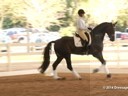 GDFNA Global Dressage Forum North America<br>
Tinne Vilhelmsson<br>
Riding & Lecturing<br>
Benetton Dream FRH<br>
10 yrs. old Stallion<br>
Duration: 21 minutes