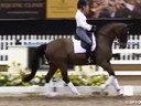 GDFNA Global Dressage Forum North America<br>
Wolfram Wittig<br>
Training Presentation<br>Assisting<br>Shannon Dueck<br>Riding Kantares<br>Hanoverian<br>9 yrs. old Gelding<br>Duration: 27 minutes