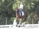 Shannon Dueck<br>
Riding & Lecturing<br>
Zorro<br>
KWPN<br>
8 yrs. old Gelding<br>
Training: 4th Level<br>
Owner: Jean klaucke<br>
Duration: 40 minutes