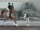 USDF Trainers Conference<br>USDF APPROVED<br>
University Accreditation<br>Day 1<br>
Christoph Hess<br>
Assisting<br>
Mica Mabragana<br>
Nexus<br>
Danish Warmblood<br>
by: Romancier<br>
17 yrs. old Gelding<br>
Training: Confirmed-GP<br>
Duration: