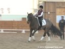 WDCTA Wisconsin Dressage & Combined Training Association<br>Day 2<br>
Fourth Level<br>
Steffen Peters<br>         
& Janet Foy<br>
Assisting<br>
11 yrs. old Hanoverian Gelding<br>
10 yrs. old Oldenburg Gelding<br>
15 yrs. old Hanoverian  Ge