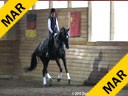 Day 1<br>
Markus Gribbe<br>
Assisting<br>
Nikki Greenburg<br>
San Donato<br>
Hanoverian<br>
by: Sandro Hit<br>
6 yrs. old Gelding<br>
Training: 2nd Level<br>
Owner: Nikki Greenburg<br>
Duration: 47 minutes