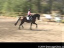 U.S. Trainers & Judges Young Horse Forum<br>Day 1<br>
Dr. Dieter Schule<br>
Assisting<br>
Jo Moran<br>
RHR Smooth Jazz<br>
by: Samarant<br>
Oldenburg<br>
5 yrs. old Gelding<br>
Owner: Jo &  Nacho Moran<br>
Duration: 24 minutes
