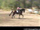 U.S. Trainers & Judges Young Horse Forum<br>Day 1<br>
Dr. Dieter Schule<br>
Assisting<br>
Jo Moran<br>
RHR Smooth Jazz<br>
by: Samarant<br>
Oldenburg<br>
5 yrs. old Gelding<br>
Owner: Jo &  Nacho Moran<br>
Duration: 24 minutes