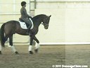 U.S.Trainers & Judges Young Horse Forum<br>Michael Poulin<br> 
& Christoph Hess<br>
Analyzing FEI 5 Yr. old Test<br>
Makenzie Wendel Riding<br>
Schroeder<br>
Duration: 19 minutes