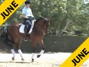 Charlotte Bredahl<br>
Assisting<br>
Lisa Teske<br>
Remedy<br>
Hanoverian<br>
7 yrs. Old Gelding<br>
Training: 3rd Level<br>
Owner: Lisa Teske<br>
Duration: 39 minutes