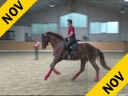 Markus Gribbe<br>
Assisting<br>
Aaron Guy<br>
Keanu<br>
Trakehner<br>
by: Luecke<br>
4 yrs. old Gelding<br>
Training: Training Level<br>
Duration: 18 minutes