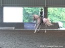 The Georgia Dressage & Combined Training Association<br>Day 2<br>
Guenter Seidel<br>
Assisting<br>
Maria Hallet<br>
Cobalt<br>
German Oldenburg<br>
10 yrs. old Gelding<br>
Training: PSG/I-1<br>
Duration: 27 minutes