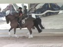 USDF West Coast Trainers Conference<br>
Day 2<br>
Stephen Clarke<br>
Assisting<br>
Lisa Pierson<br>
Baryshnikov<br>
14 yrs. Old  Hackney Gelding<br>
by:  Forewood Commander<br>
Owner:  Leeda Fletcher<br>
Duration: 32 minutes