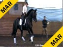 Day 3<br>
Markus Gribbe<br>
Assisting<br>
Rebecca Garrard<br>
Conbrio<br>
KWPN<br>
by: Contango<br>
10 yrs. old Gelding<br>
Training: 4th/PSG Level<br>
Owner: Caroline Williams<br>
Duration: 42 minutes