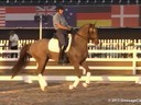 GDFNA Global Dressage Forum North America<br>Steffen Peters<br>Assisting<br>Marcus Orlov<br>Riding<br>E.T. Voila<br>Hanoverian<br>8 yrs. Old Gelding<br>Duration: 42 minutes