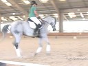 CDS Junior Young Rider Clinic<br>
Charlotte Bredahl<br>
Assisting<br>
Johanna Paine<br>
Balliz<br>
12 yrs old Gelding<br>
Thoroughbred<br>
Training: 3rd level<br>
Duration: 32 minutes