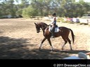 U.S. Trainers & Judges Young Horse Forum<br>Day 1<br>
Dr. Dieter Schule<br>
Assisting<br>
Skyler Evans<br>
Exemplar<br>
by: Erhentusch<br>
Westfalen<br>
6 yrs. old Gelding<br>
Duration: 28 minutes